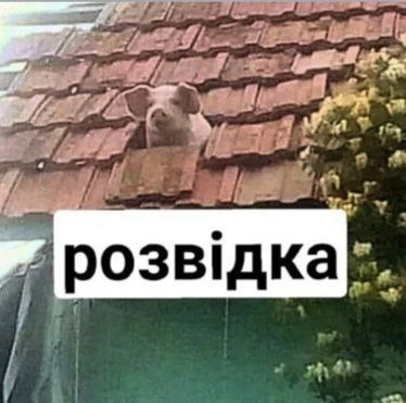 МАГАТЭ решило сохранить своё постоянное присутствие на ЗАЭС