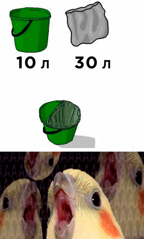 Весёлый полтишок 30.09.22