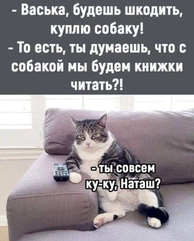 Картинки и мемы, всем хороших выходных