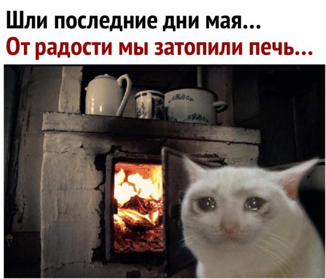 Картинки и мемы. Выходные близко...