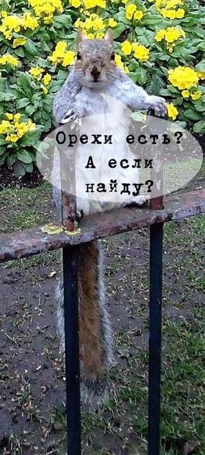 Атака на карман