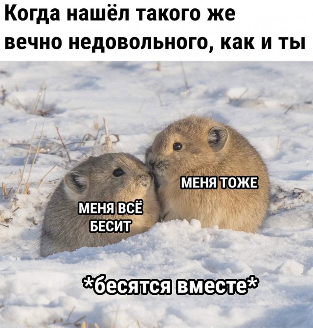 Девочки помогите определиться! Тяжело ли будет терпеть мужчину в браке?