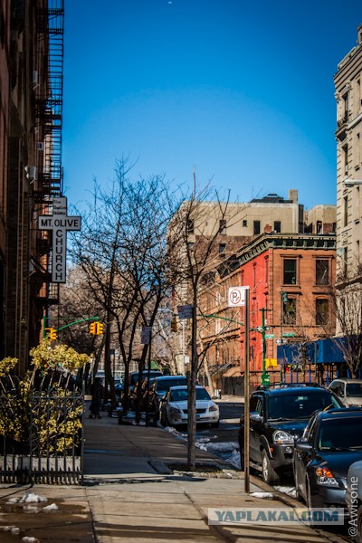 Как я в NYC ездил.