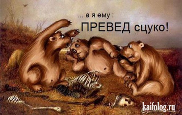 Рандомные анекдоты про медведя
