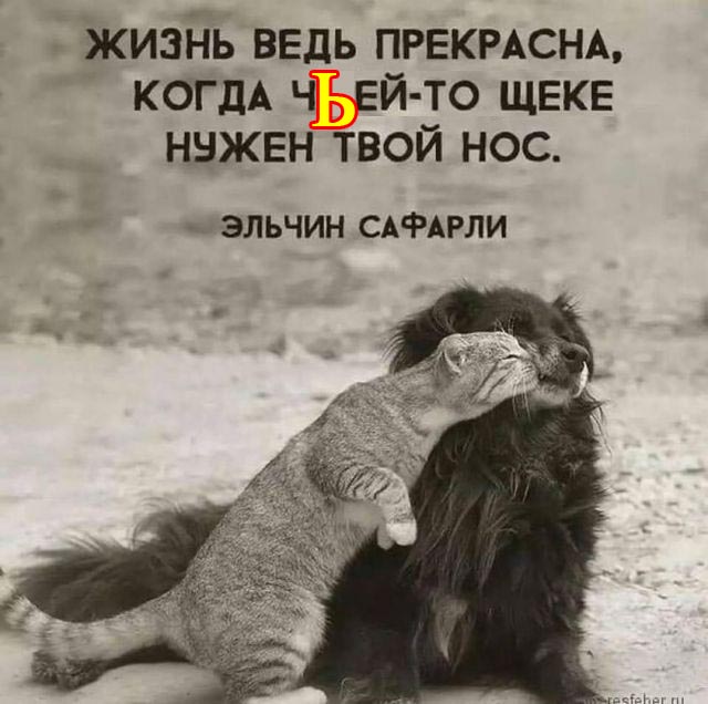 Так себе картинки 10.10.2023