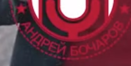 Пчёлы