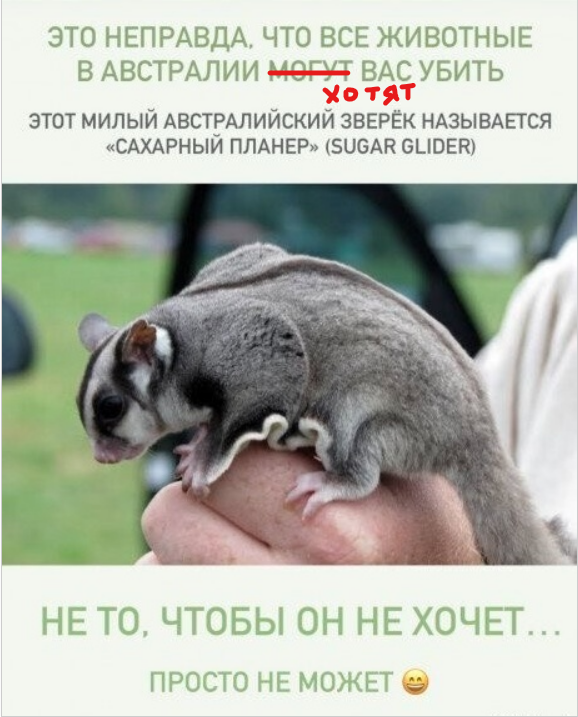 Так себе картинки 23.12.23