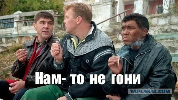 Чем крепить профлист на заборе.  Заклепки или саморезы?