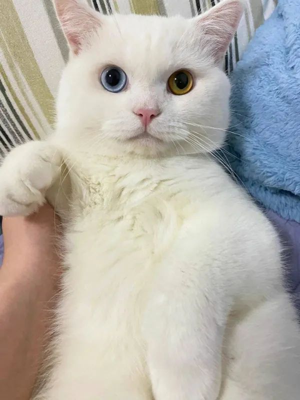 ФотоВинегрет