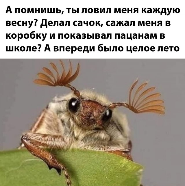 Завалялось тут случайно немного забавных картинок