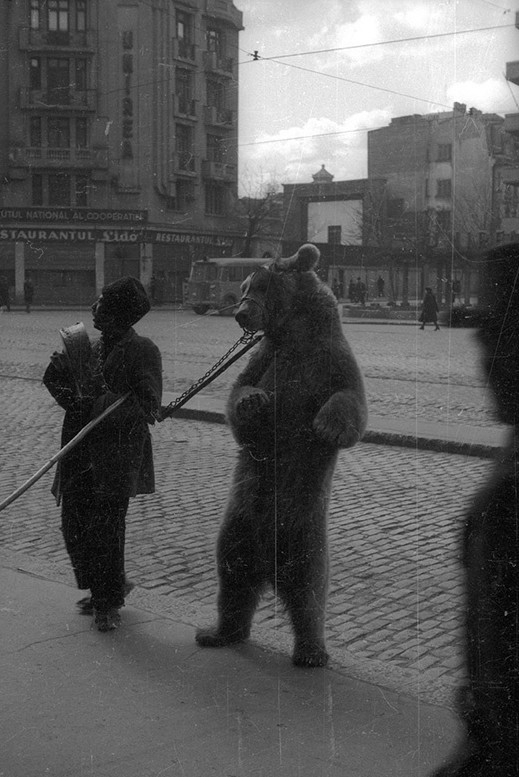 Фотограф Евгений Халдей