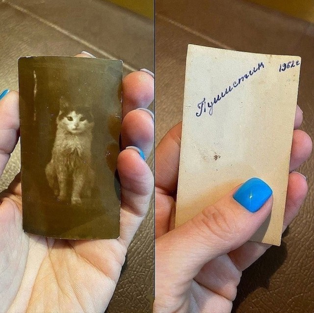 Так себе картинки 15.05.25