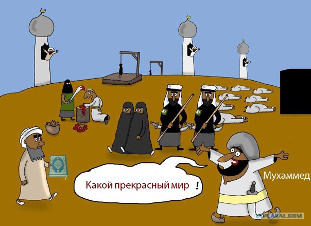 Почти половина мигрантов в РФ выбирают шариат вместо российского закона — их доля выросла с 35% до 43,5% за 2 года