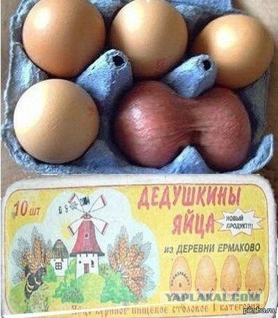 Нормальные человеческие яйца!