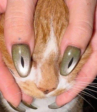 Веселое настроение в картинках (13.08.2025)