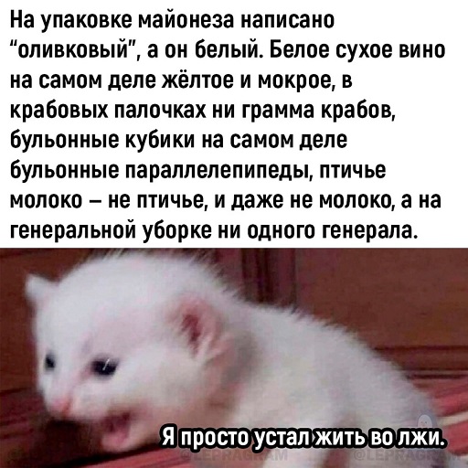 Это Феррари?