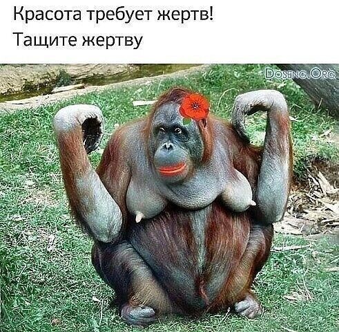 Понедельника картинки
