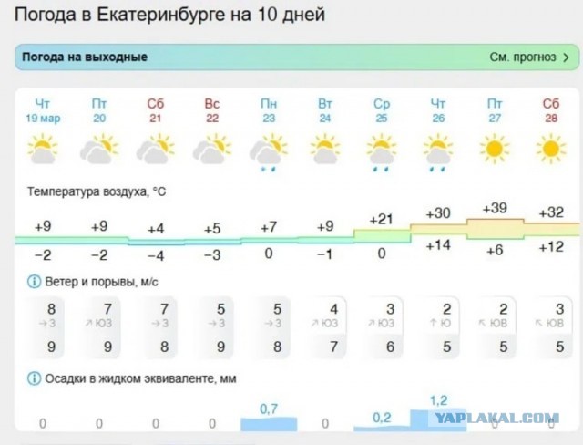 Литературное заведение "Буквица"