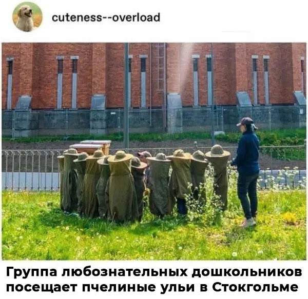Прикольные и просто красивые картинки 21.08.2026