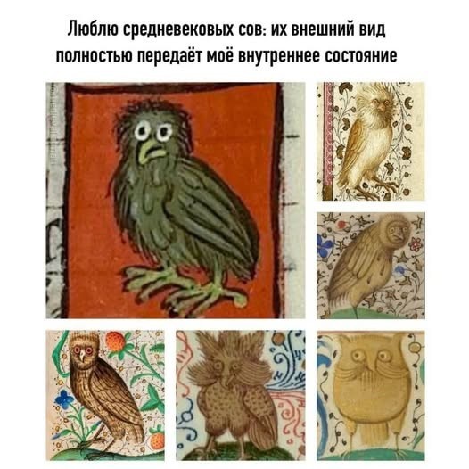 Картинки для деградации 287 (разной степени свежести)