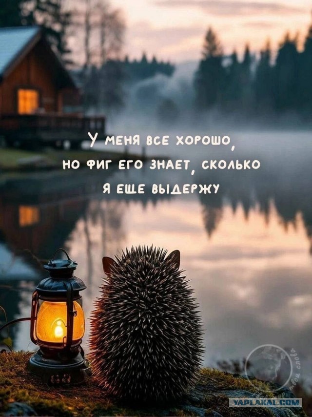 Когда у тебя золотые руки и много свободного времени