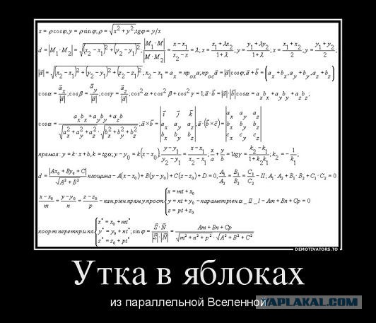 Параллельные миры существуют