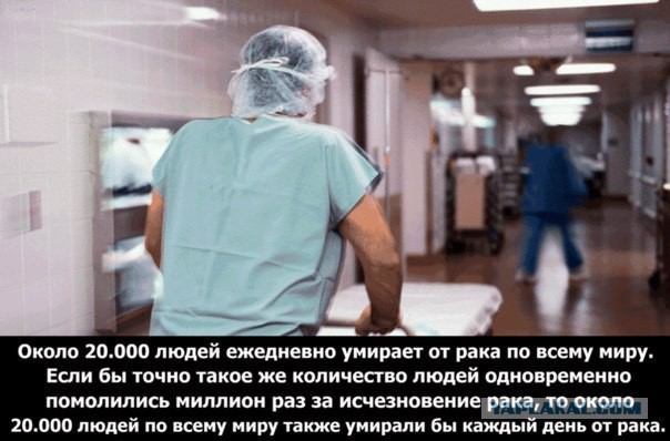 В противоположную сторону от рая
