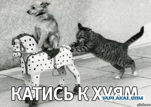 Крым. Обращение Кличко.