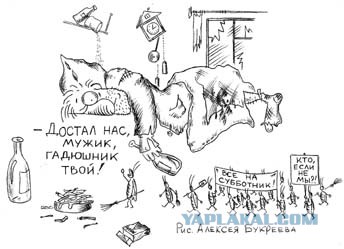 Картинки