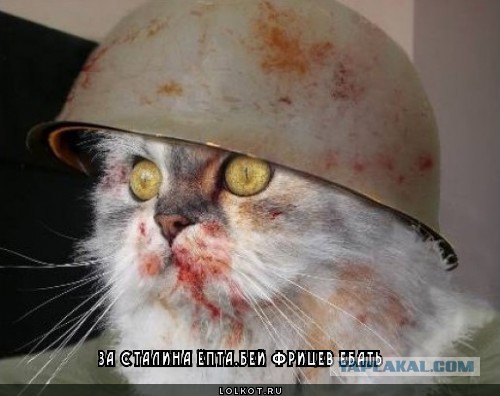 Чёрт, чёрт, чёрт!