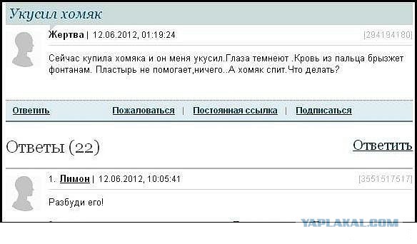 С горячим приветом из социальных сетей