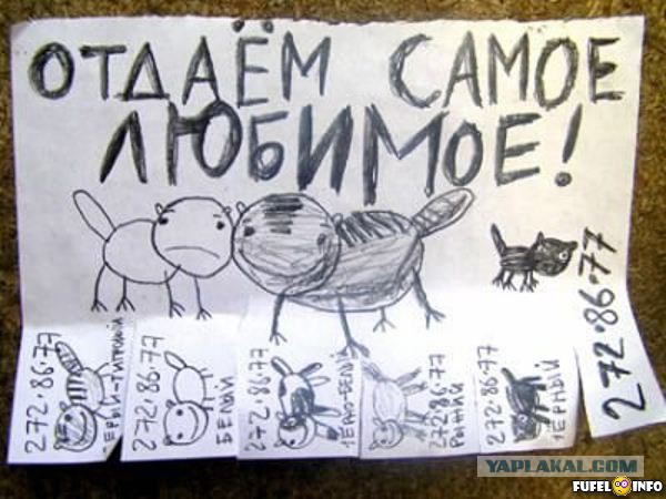 20 объявлений месяца, которыми мы гордимся