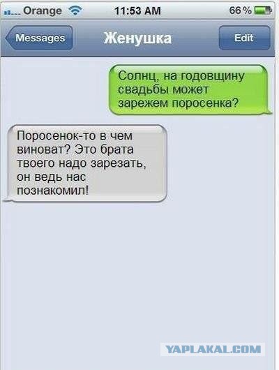 Весёлые картинки