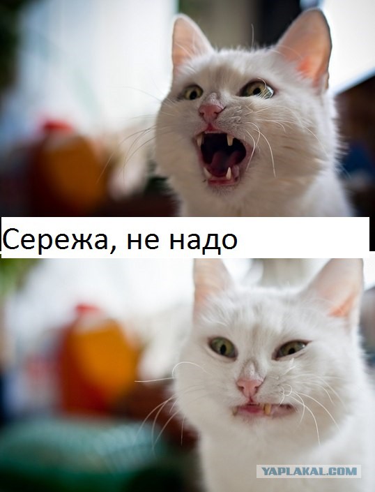 "Серёжа, не надо"