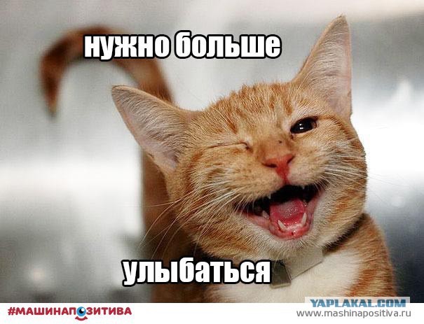 Эталон лживой шалавы
