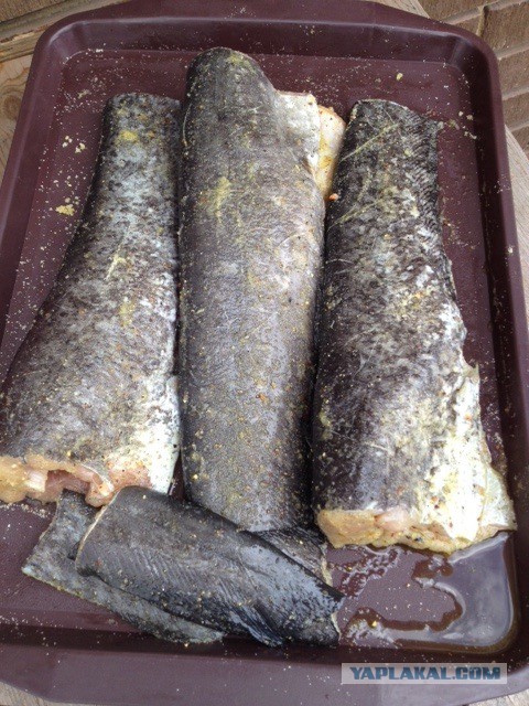 Кухня (кулинарное и околокулинарное общение)