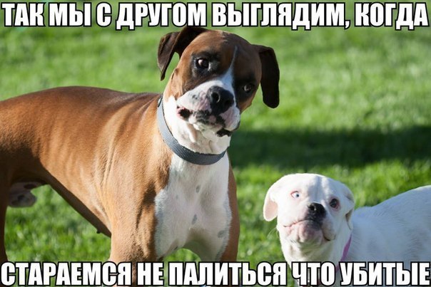 Картинки с буквами
