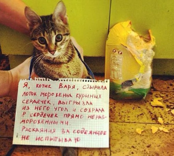 Картинки разные