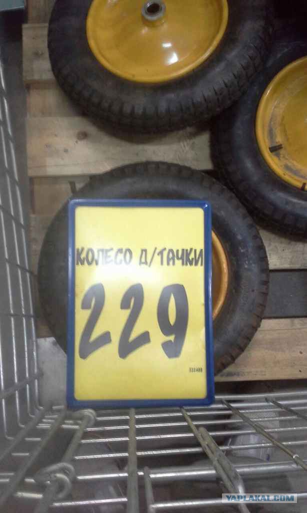 Обман в Кастораме