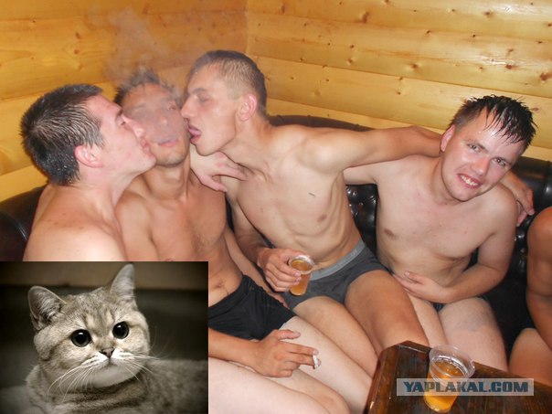 Неотразимый ловелас