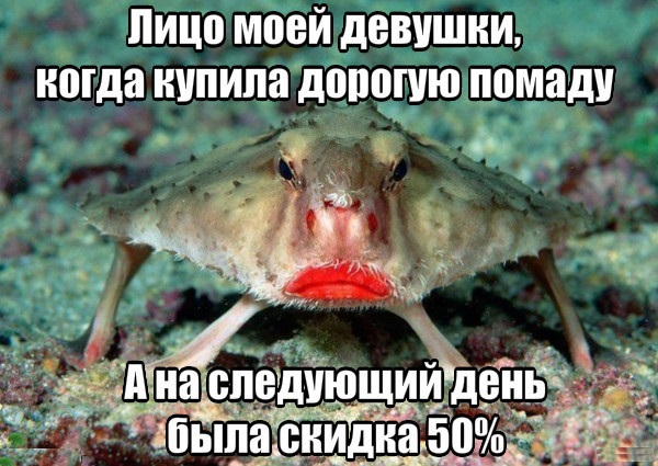 Вторник-повторник