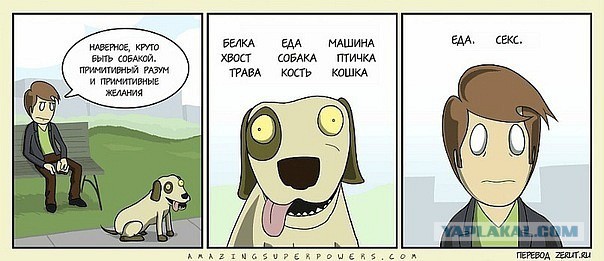 Картинки