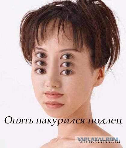 Плюшкиным посвящается