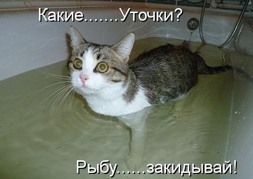 Немного юмора, заимствованного из сети