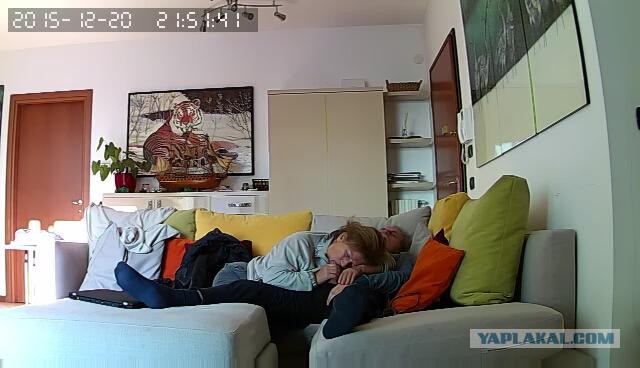 За что я люблю китайцев