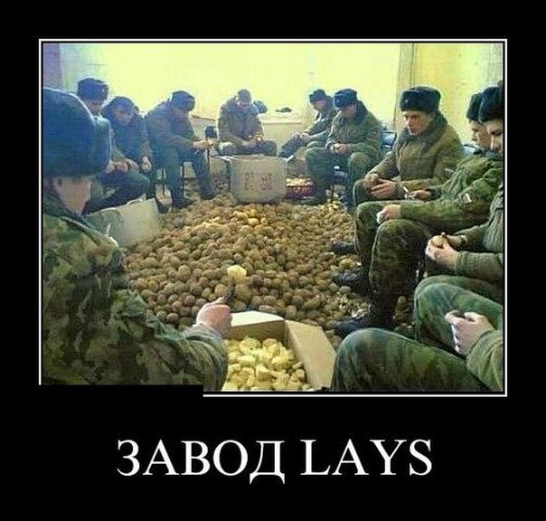 Веселые картинки.