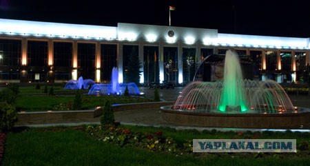 Самая сознательная соцзащита населения