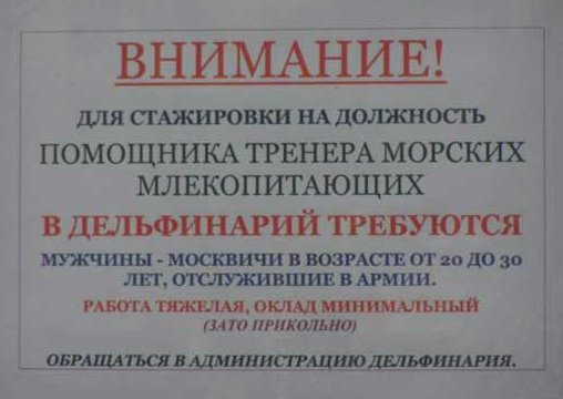 ОБЪЯВЛЕНИЯ. На стенах, в газетах, афиши.