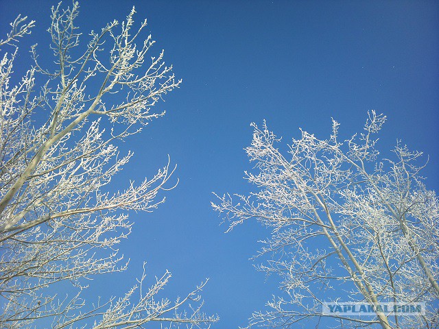 Я узнал, что у меня есть огромная семья