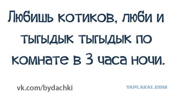Смешные комментарии из социальных сетей 19.02.2016
